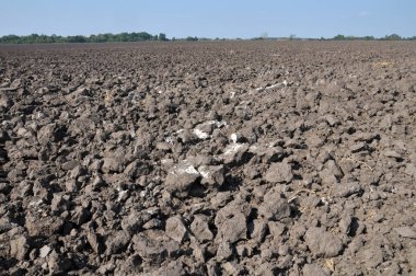 Hasat tahıllar kadar toplama sonra traktör pulluk alanıyla sürülmüş