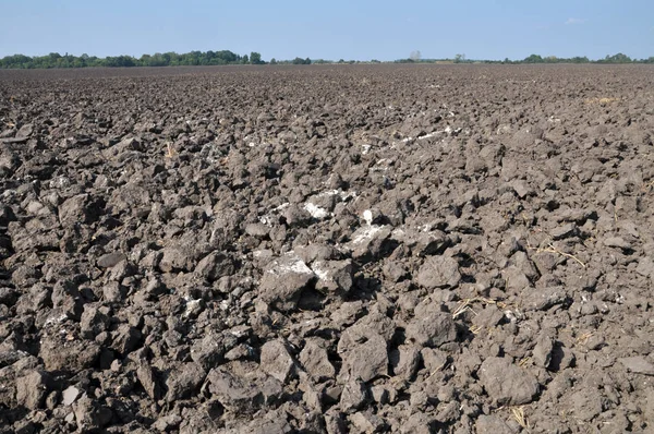 Arrosé Avec Champ Charrue Tracteur Après Ramassage Des Céréales Récolte — Photo