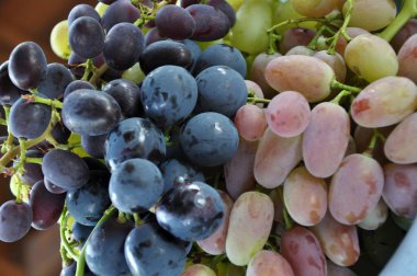 Küçük bir gemi üzüm çeşitli çeşitlerinin toplanan