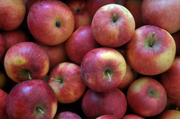 Background from collected apple with a red color of the fruit