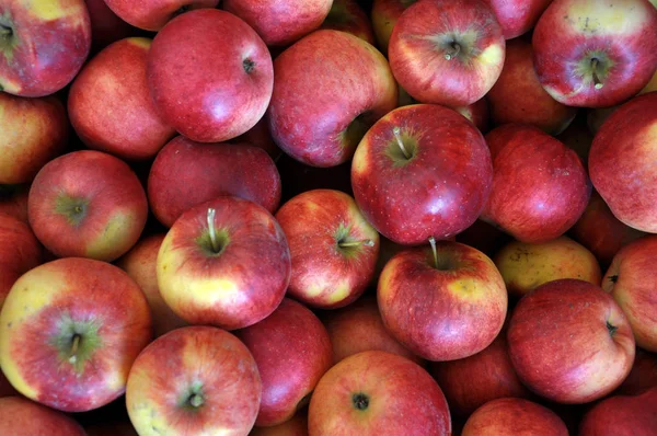 Background Collected Apple Red Color Fruit — Stock Photo, Image