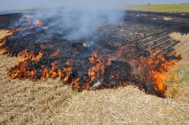 Yanan anız ve saman tahıl hasat sonra sahada