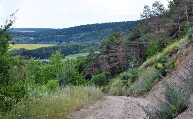 Alanları, ormanları, tepeleri ile yaz panoramik manzara