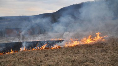 Baharda, kuru ot yandı