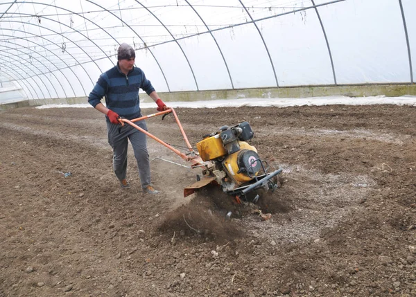 Voorbereiding van de bodem in de serre voor opplant van plantaardige cro — Stockfoto