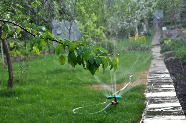 Système d'arrosage pour l'irrigation du jardin — Photo