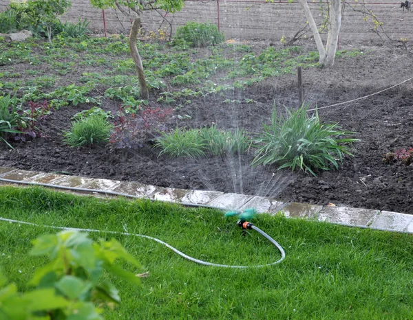 Système d'arrosage pour l'irrigation du jardin — Photo
