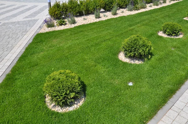 정원, 공원, 광장, 레크리에이션 에서 조경의 디자인 — 스톡 사진