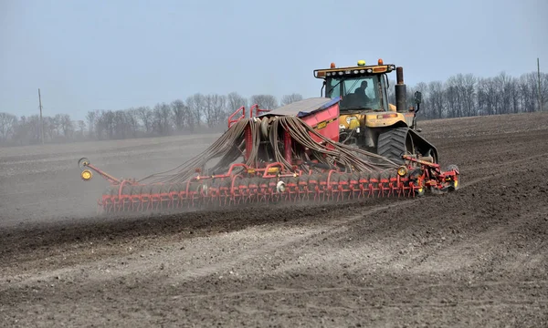 Dans les champs semer les céréales précoces — Photo