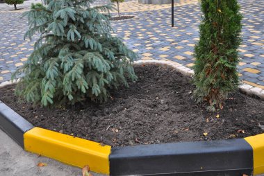 Bahçe, park, meydan, rekreasyon ar peyzaj tasarımı