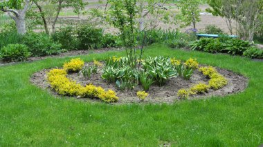 Bahçedeki peyzaj, park, meydan, dinlenme alanındaki modern tasarım parçaları.