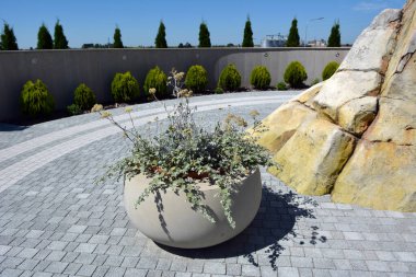 Bahçedeki peyzaj, park, meydan, dinlenme alanındaki modern tasarım parçaları.