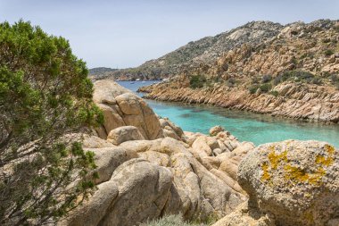 Avrupa'da, Sardunya, İtalya kuzeyinde yer alan la maddalena archipel çoğu plajlardan, yaz yatay. Berrak turkuaz su ve küçük kum plaj. Mükemmel için harcanan yaz tatili.