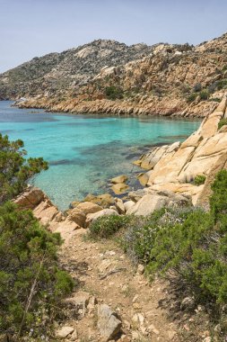 Avrupa'da, Sardunya, İtalya kuzeyinde yer alan la maddalena archipel çoğu plajlardan, yaz yatay. Berrak turkuaz su ve küçük kum plaj. Mükemmel için harcanan yaz tatili.