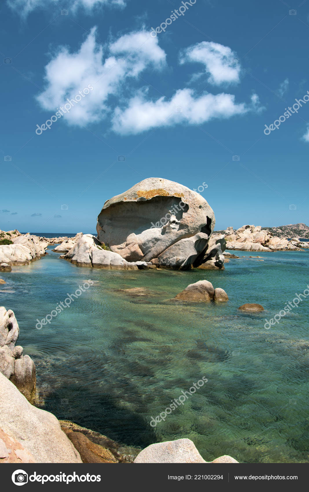 Punto Centrale Dell Interesse Sul Polpo Testa Spiaggia