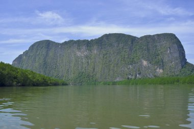 Tayland'da Bataklık Keşfetmek