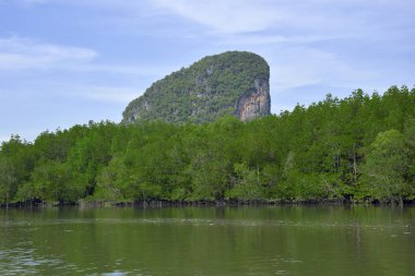Tayland'da Bataklık Keşfetmek