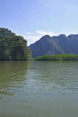 Tayland'da Bataklık Keşfetmek