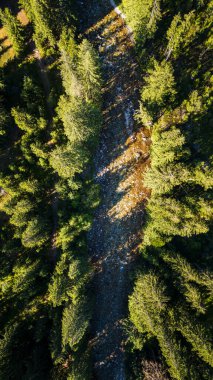 Yeşil ormandaki güzel dağ nehrinin havadan görünüşü       