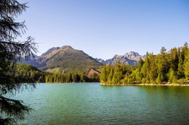 Berrak turkuaz göl. Etrafı yemyeşil orman ve uzak dağlarla çevrili.