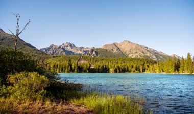 Dağlardaki güzel nehir manzarası ve yeşil ağaçlar.