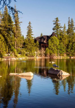 Tenha ahşap kulübe gölde yansıyan uzun çam ağaçlarının arasına kurulmuş.