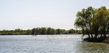 Sakin nehir, açık gökyüzünün altındaki yeşil ağaçların arasından akıyor.