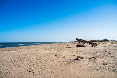 Mavi okyanus kıyısında sürüklenen dallar içeren güneşli kumlu sahil manzarası