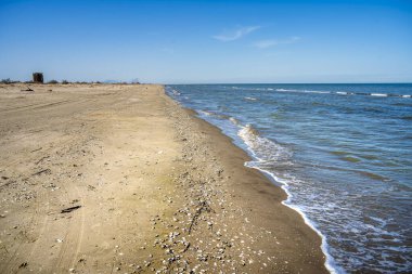Boş kumsal, berrak gökyüzünün altında yumuşak okyanus dalgalarıyla buluşuyor.