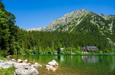 Dağlardaki güzel nehir manzarası ve yeşil ağaçlar.
