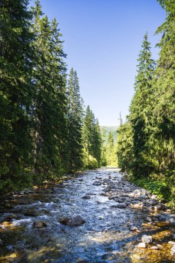 Slovakya 'da bir dağ gölü olan Popradske Pleso' nun (bir zamanlar Rybie Pleso) güzel manzarası 