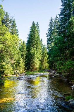 Dağlardaki güzel nehir manzarası ve yeşil ağaçlar.