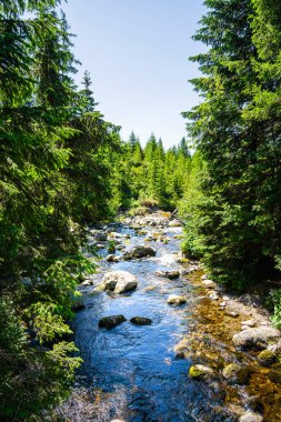 Slovakya 'da bir dağ gölü olan Popradske Pleso' nun (bir zamanlar Rybie Pleso) güzel manzarası 