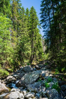 Slovakya 'da bir dağ gölü olan Popradske Pleso' nun (bir zamanlar Rybie Pleso) güzel manzarası 