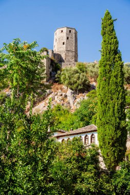 Yamaçtaki yemyeşil ağaçların üzerinde yükselen antik taş kule.