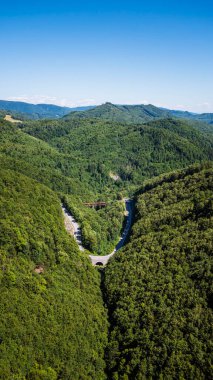 Dönek dağ yolu, sık yeşil orman tepelerini kesiyor.