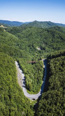 Dönek dağ yolu, sık yeşil orman manzarasını kesiyor.