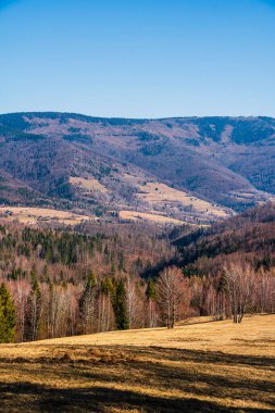 Yuvarlanan tepeler açık mavi gökyüzünün altındaki uzak dağlara doğru uzanıyor.