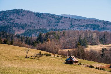 Küçük kır kulübesi, çimenli tepelerin, ağaçların arasında duruyor.