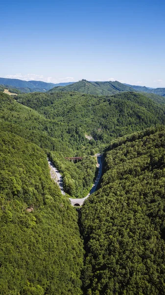 Dönek dağ yolu, sık yeşil orman tepelerini kesiyor.