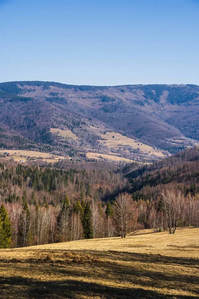 Yuvarlanan tepeler açık mavi gökyüzünün altındaki uzak dağlara doğru uzanıyor.