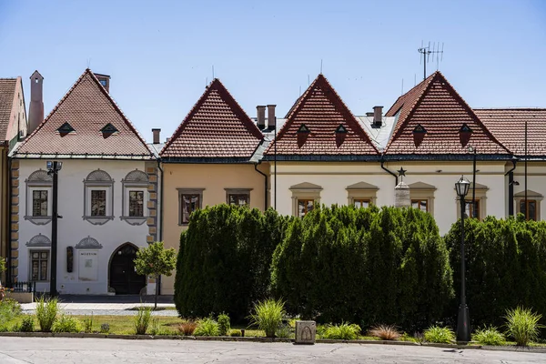 Yeşil çalıların arkasında üçgen çatılar bulunan tarihi Avrupa binaları