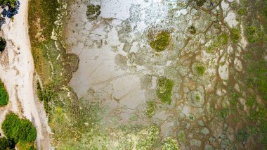 Hava görüntüsü kurumuş toprağı ve yeşil bitki örtüsünü gösteriyor.