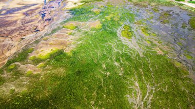 Hava manzaralı, sulak arazi manzaralı, güzel doğa manzaralı.