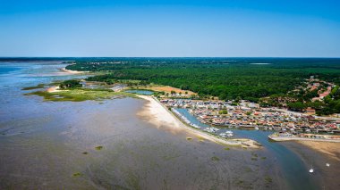 Kıyı köyü, kumsaldaki gelgit düzlüklerinin orman geçmişini gösteren hava manzarası.
