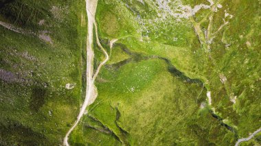 Kıvrımlı toprak yol, canlı yeşil çimenli yamaçtan geçiyor.