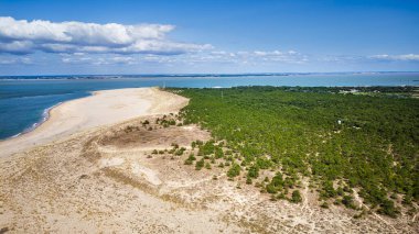 Hava manzarası kumlu kumsalın yemyeşil orman kıyılarıyla buluştuğunu gösteriyor.