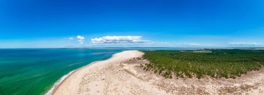 Geniş kumlu sahil buluşması turkuaz okyanus yemyeşil ormanın yanında
