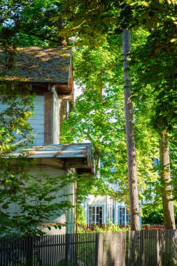 Kırsal ahşap evin yanındaki yeşil ağaçların arasından süzülen güneş ışığı