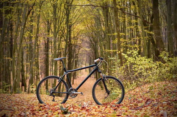 Fahrrad Mystischen Herbst Park Oder Wald Konzept Eines Gesunden Lebensstils — Stockfoto